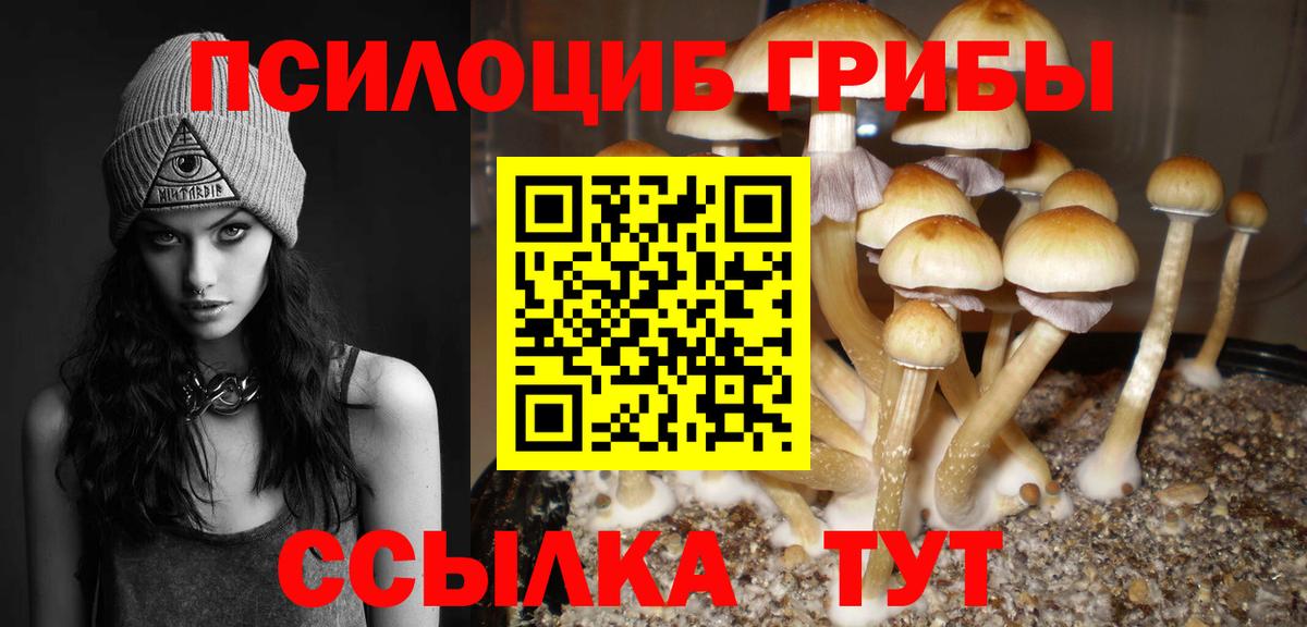 Владикавказ  Псилоцибиновые грибы Cubensis  Вход с VPN 